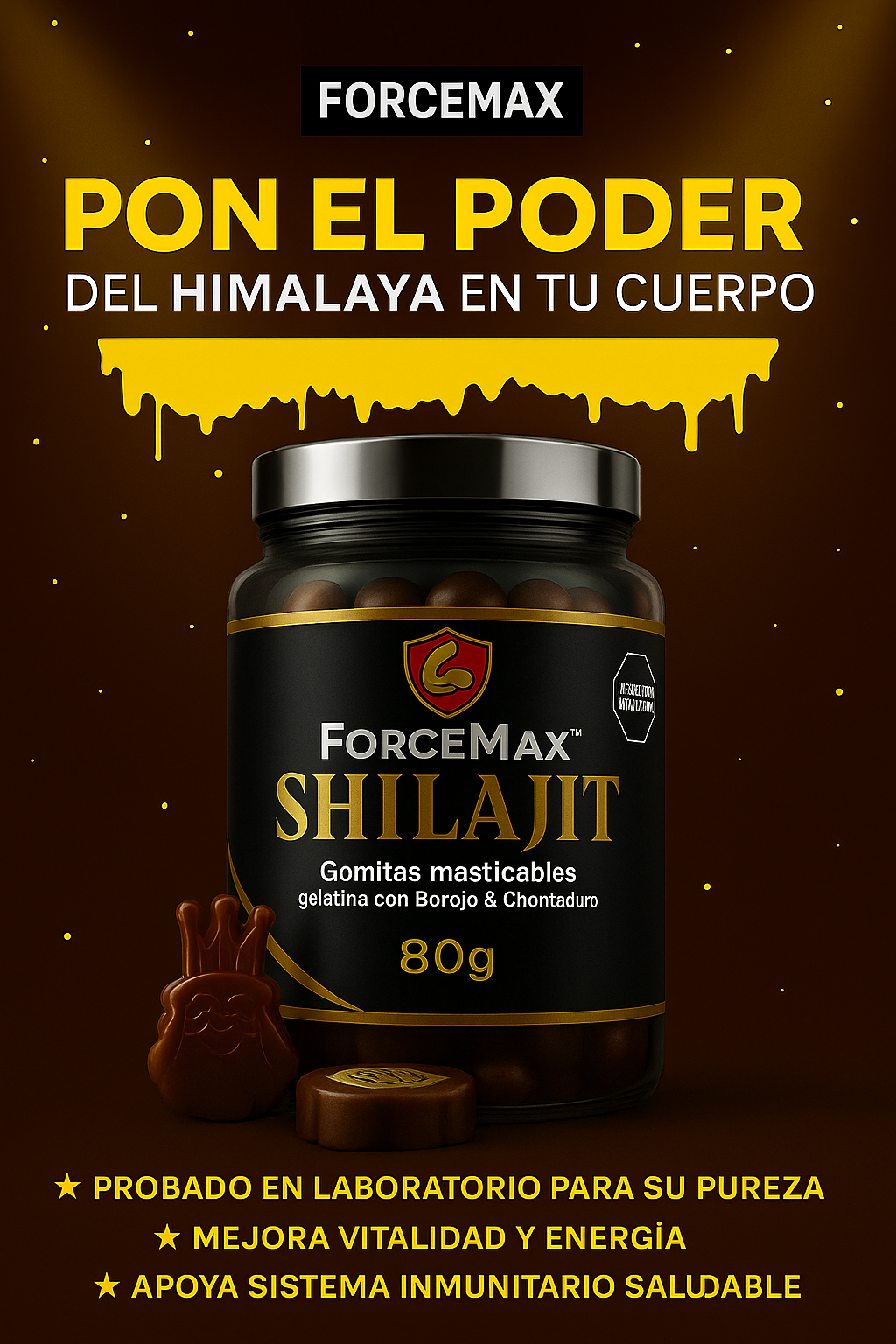 ForceMax Shilajit.