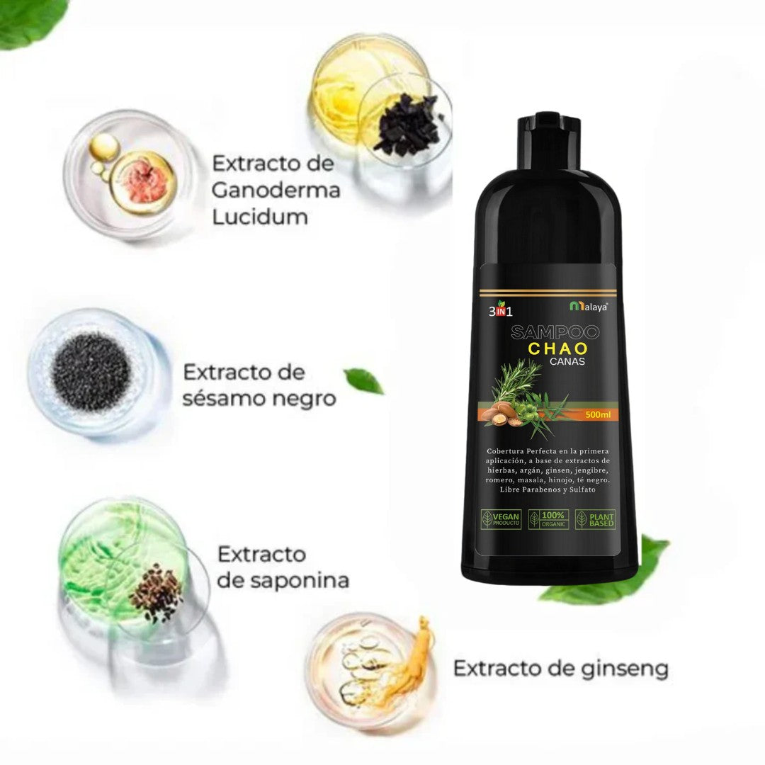 SHAMPOO 3 en 1 ANTI CANAS de 500ML+TRATMIENTO+ envió gratis